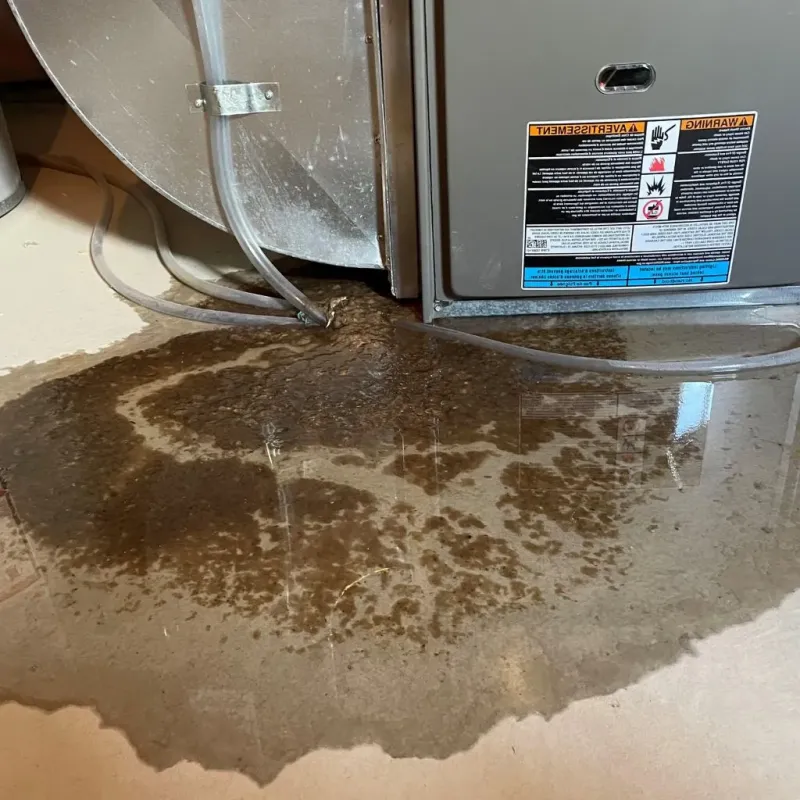 Pipe Burst and Leak Restoration in McKinley Heights, OH