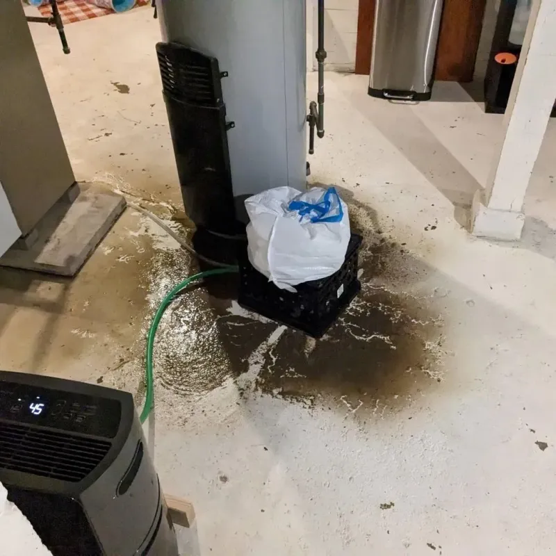 Sewage Backup Cleanup Service in McKinley Heights, OH